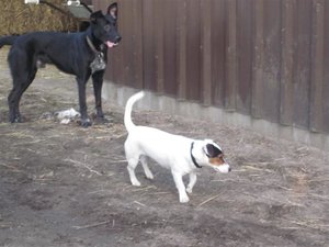 Bild 031 (Small).jpg