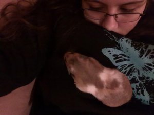 10112011637.jpg 10112011637.jpg