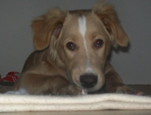 100_0668.JPG 100_0668.JPG