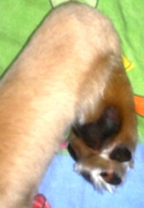 05112011158.jpg 05112011158.jpg