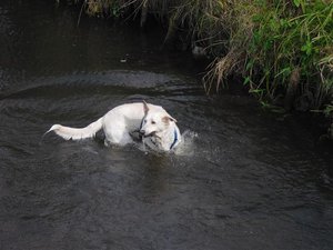 CIMG3913 (Klein).JPG CIMG3913 (Klein).JPG