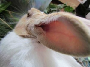 K640_IMG_0313.JPG K640_IMG_0313.JPG