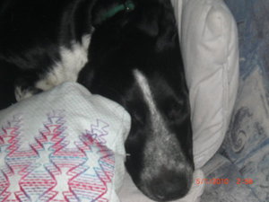 27261_1290950807499_1642125528_714388_3302577_n.jpg 27261_1290950807499_1642125528_714388_3302577_n.jpg