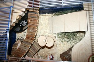 IMG_3689 (Klein).JPG