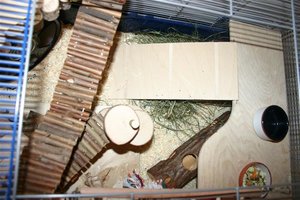 IMG_3690 (Klein).JPG