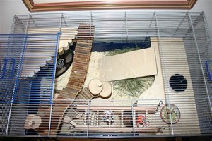 IMG_3695 (Klein).JPG