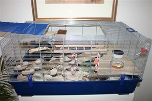 IMG_3694 (Klein).JPG