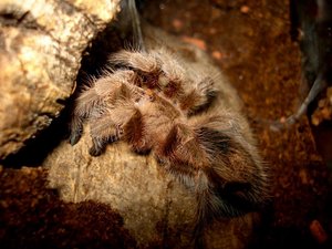 K1024_DSC04407__.JPG K1024_DSC04407__.JPG