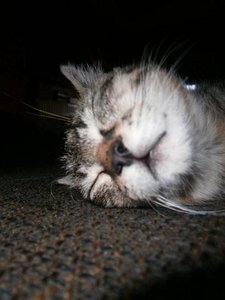 PC040090.JPG PC040090.JPG