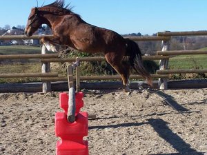 100_3944.JPG 100_3944.JPG