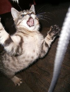 PC070008.JPG PC070008.JPG