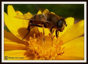 Brieffreunde1 (Small).jpg