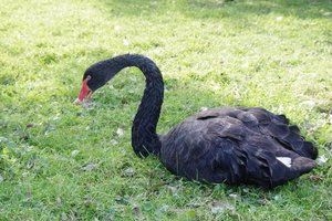 IMGP3385.JPG IMGP3385.JPG