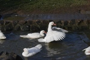 IMGP3402.JPG IMGP3402.JPG