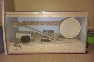 IMAG0046.jpg IMAG0046.jpg