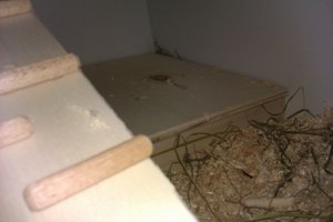 IMAG0045.jpg IMAG0045.jpg