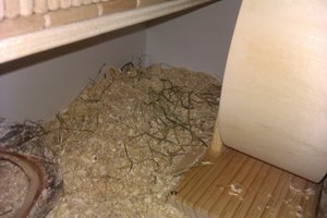 IMAG0044.jpg IMAG0044.jpg