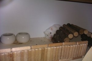 IMAG0040.jpg IMAG0040.jpg