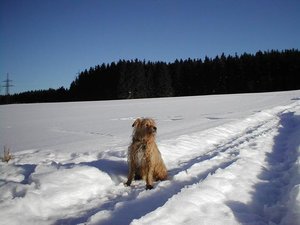 2011-12-25 Traffi.JPG