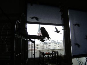 DSCF3613.JPG DSCF3613.JPG