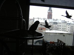 DSCF3616.JPG DSCF3616.JPG