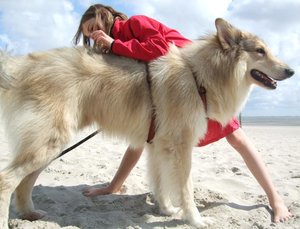 Rocky und Ruby Sommer 2011.JPG