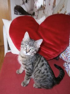 PC090113.JPG PC090113.JPG