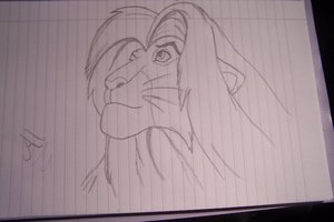 Simba.jpg