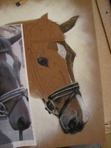 img_8316986vs.jpg img_8316986vs.jpg