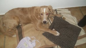 100_0718 (1024x576).jpg