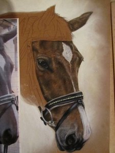 img_83174bpkh.jpg img_83174bpkh.jpg