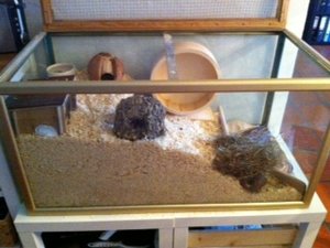 Foto 1-1.JPG Foto 1-1.JPG