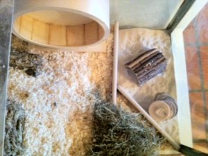 Foto 3-2.JPG Foto 3-2.JPG