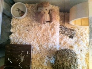 Foto 4-1.JPG Foto 4-1.JPG