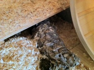 Foto 5-1.JPG Foto 5-1.JPG