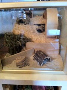 Foto schräg.jpg Foto schräg.jpg