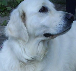 DSC00164.jpg DSC00164.jpg