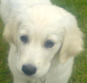 DSC00137.JPG DSC00137.JPG