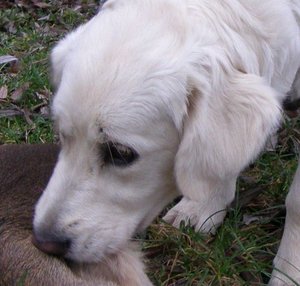 PB120260.JPG PB120260.JPG