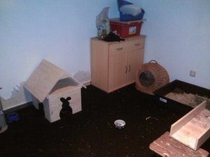 hasenzimmer3.jpg