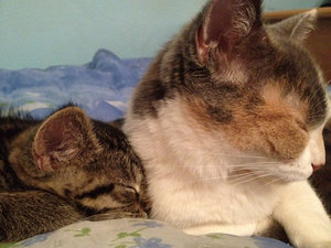 Foto(13).JPG Foto(13).JPG