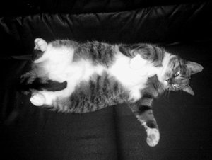 2010-06-11 00.22.22.jpg