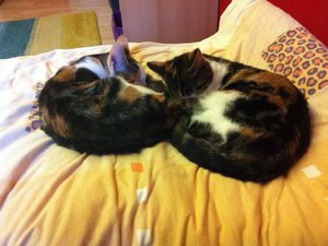 IMG_0722 - Kopie.JPG