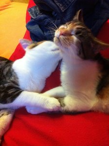 IMG_0741 - Kopie.JPG