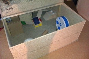 IMAG0063.jpg IMAG0063.jpg