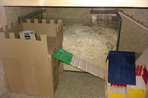 IMAG0064.jpg IMAG0064.jpg