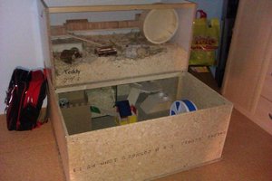 IMAG0067.jpg IMAG0067.jpg