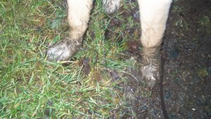 100_0749 (800x450).jpg