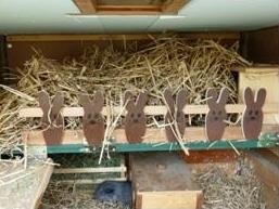 meerligehege1.jpg meerligehege1.jpg