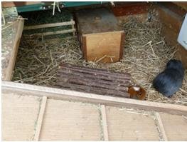 meerligehege2.jpg meerligehege2.jpg